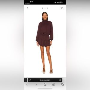 Krisa turtleneck mini in brown, worn once and dry cleaned!